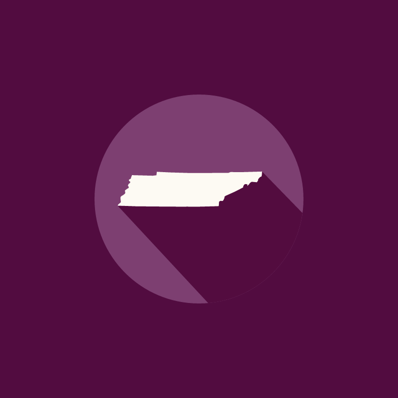 Gun Rights & Safety Citizen Solutions Tennessee